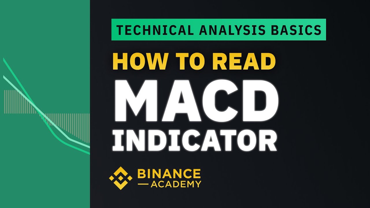 How to Read MACD Indicator 